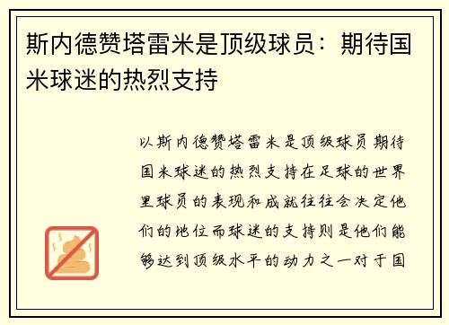 斯内德赞塔雷米是顶级球员：期待国米球迷的热烈支持