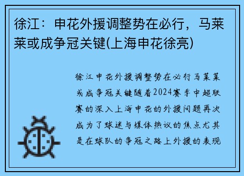 徐江：申花外援调整势在必行，马莱莱或成争冠关键(上海申花徐亮)