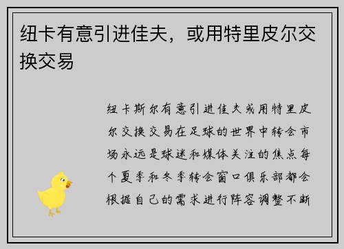 纽卡有意引进佳夫，或用特里皮尔交换交易