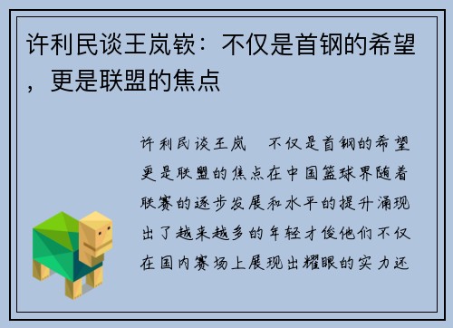 许利民谈王岚嵚：不仅是首钢的希望，更是联盟的焦点